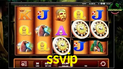 Descubra o Mundo do Cassino Online com ssvip